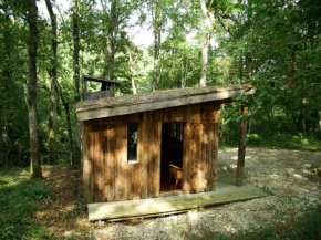 Ecolodge in Sequoia